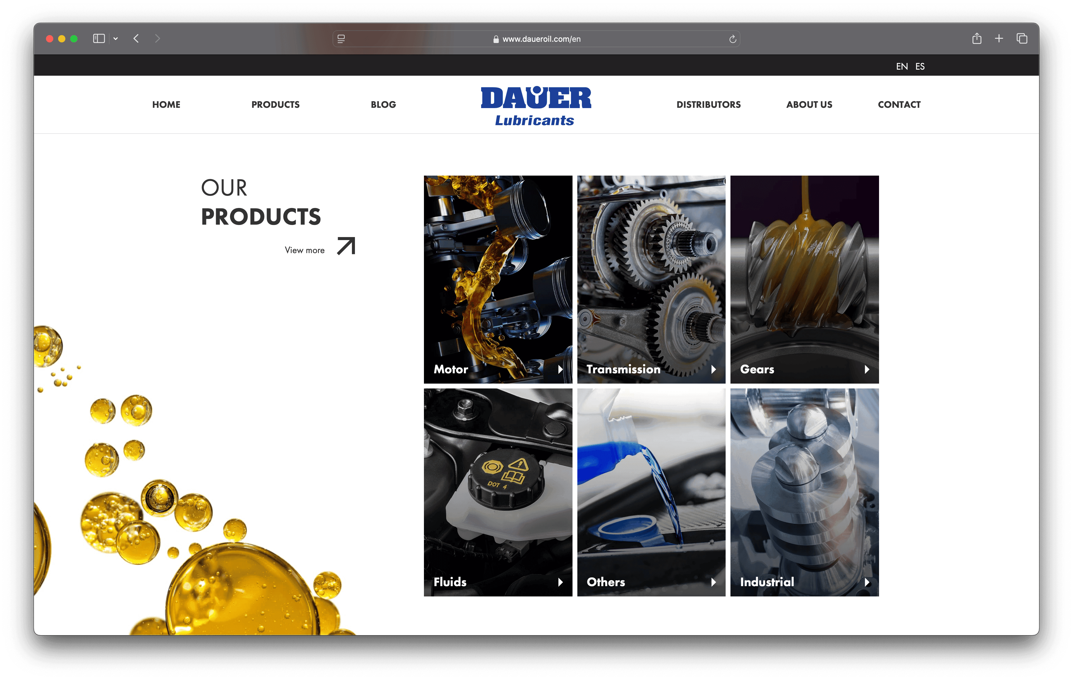 Project image